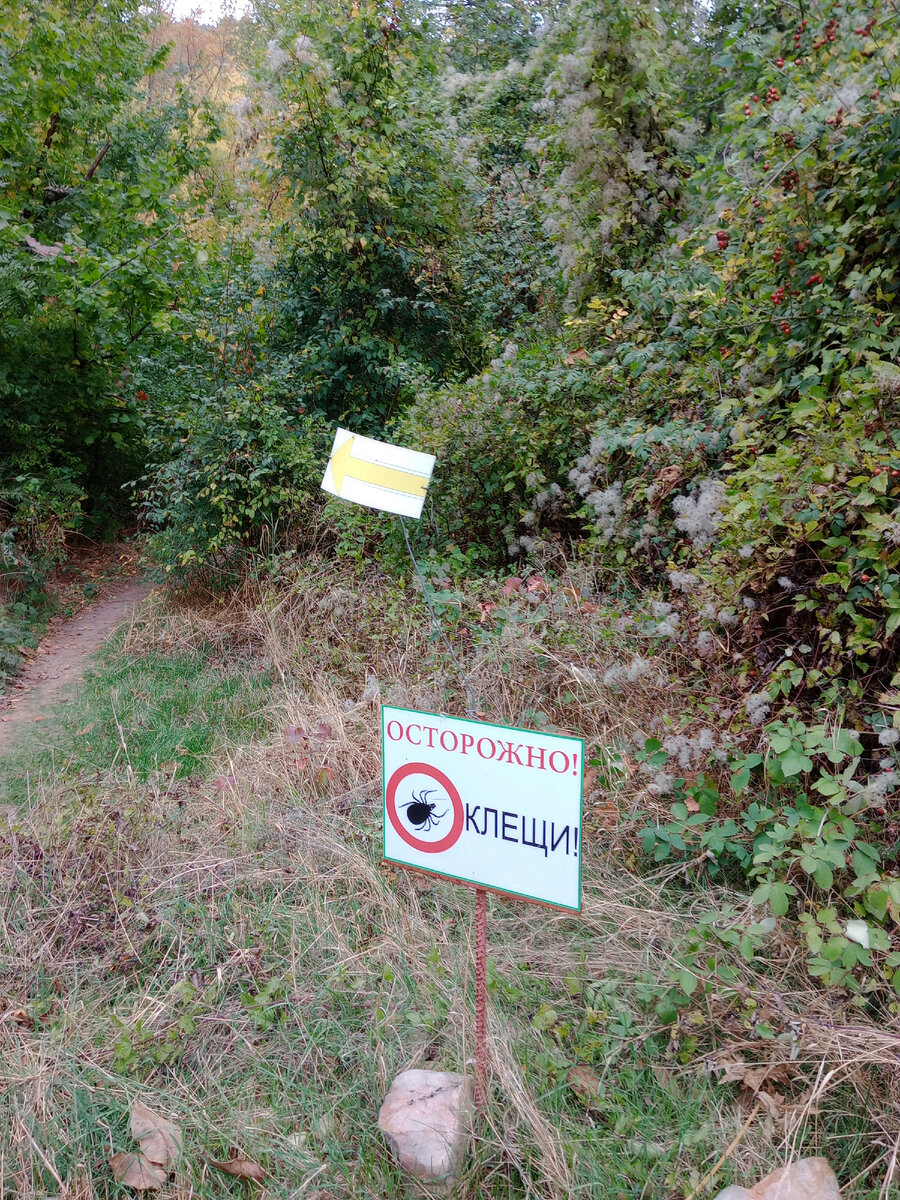 Стрелка указывающая путь