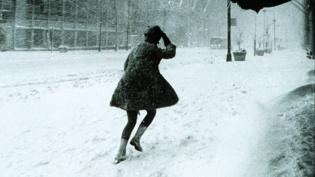     В Ставрополе стали чаще подделывать общедомовые документы. Певицу Лолиту впечатлил размер кровати в отеле Ставрополя. Очевидцы рассказали о последствиях разгулявшегося ветра в краевой столице. NewsTracker представляет обзор информационной картины дня 30 ноября.
