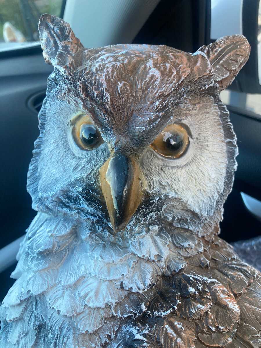 Если вы до сих пор не знали, как представить нижнюю Антонину - вот вам отправная точка