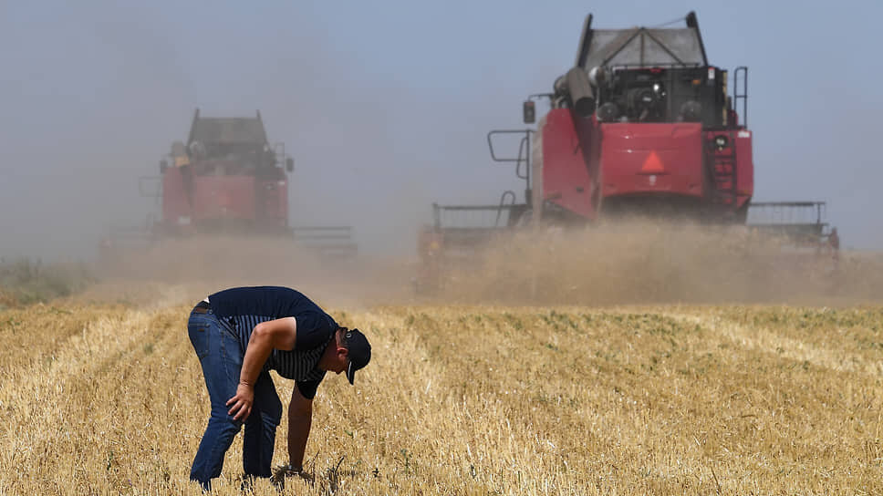 Фото: Виктор Коротаев / Коммерсантъ📷Уборка зерновых культур в Крыму