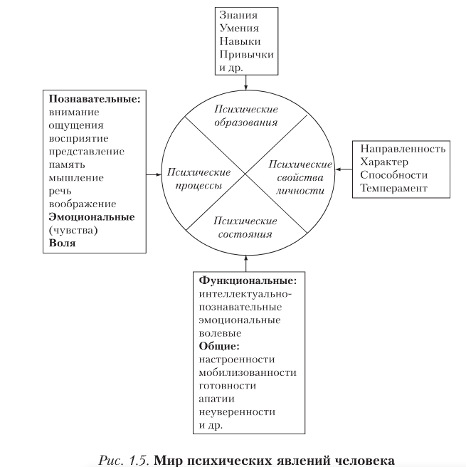 1. Характеристика психологии как науки. 1.4.Деятельность и сознание. Формирование высших психических функций человека. Высшим уровнем развития психики является психика человека.