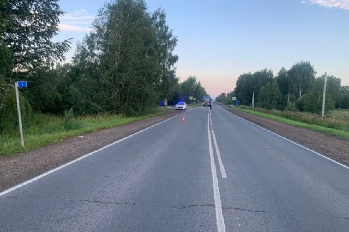    В Томске устанавливают личность сбитого насмерть пешехода