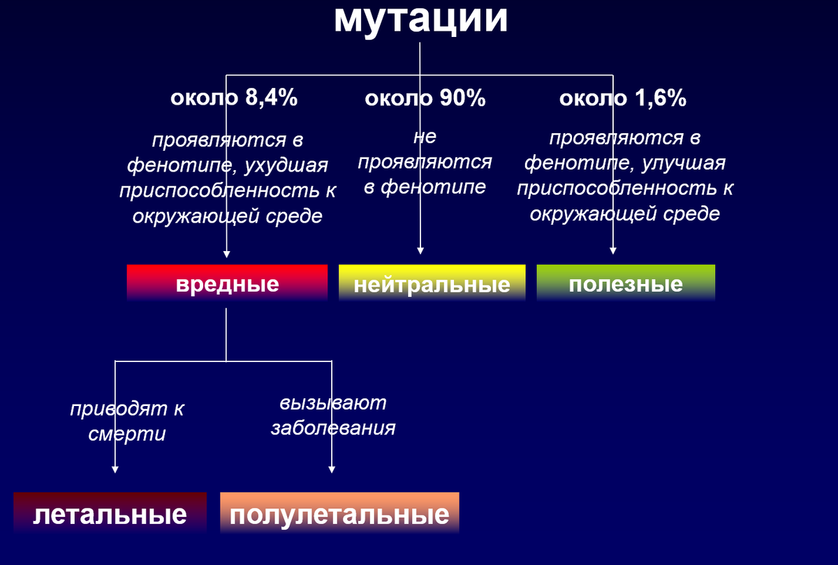 хорошие мутации. хорошие мутации. мутации влияющие на жизнеспособность. мутации презентация. виды мутаций нейтральные.