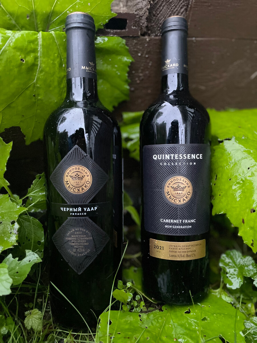 Вот они наши сегодняшние герои