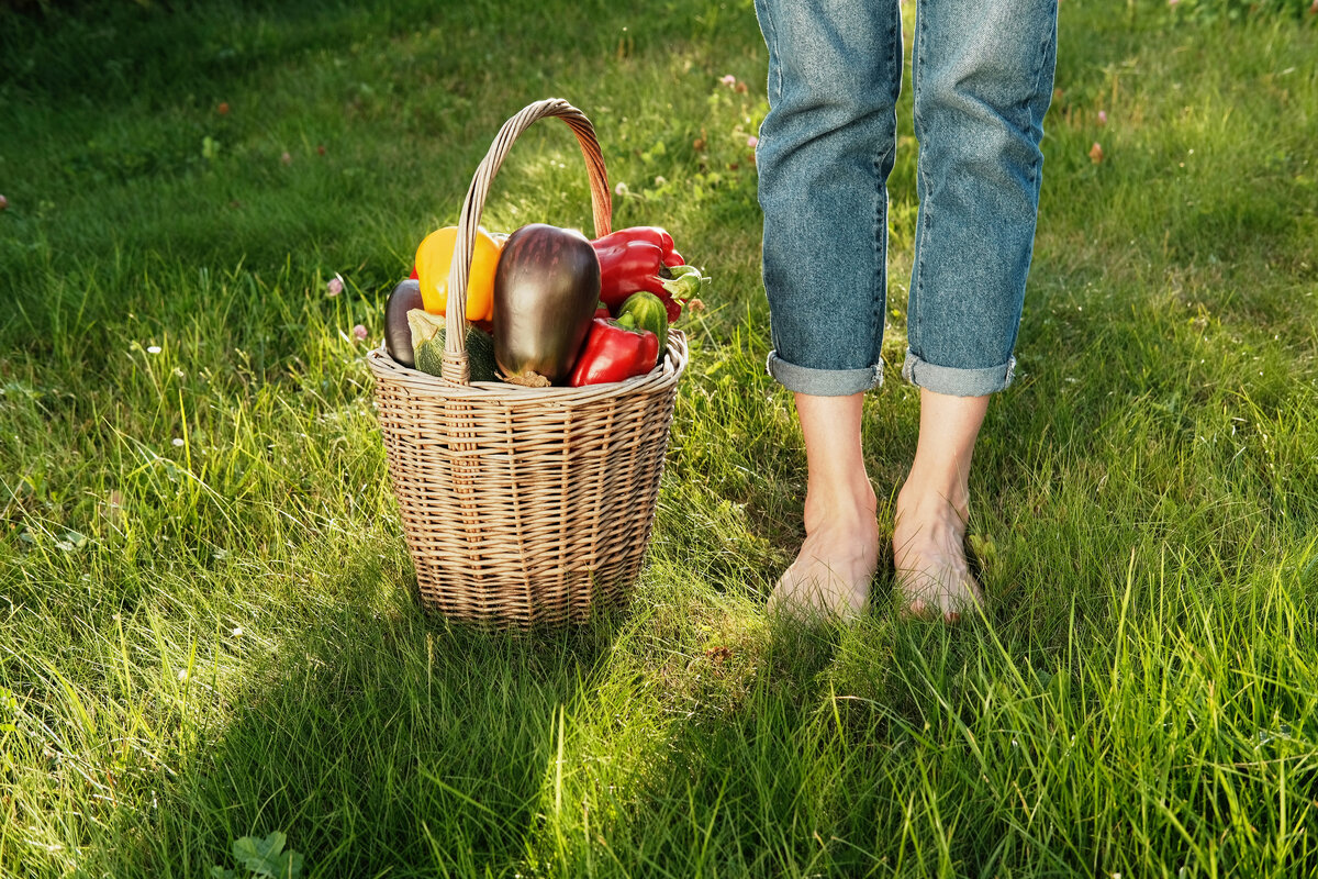    фото: iStockphoto