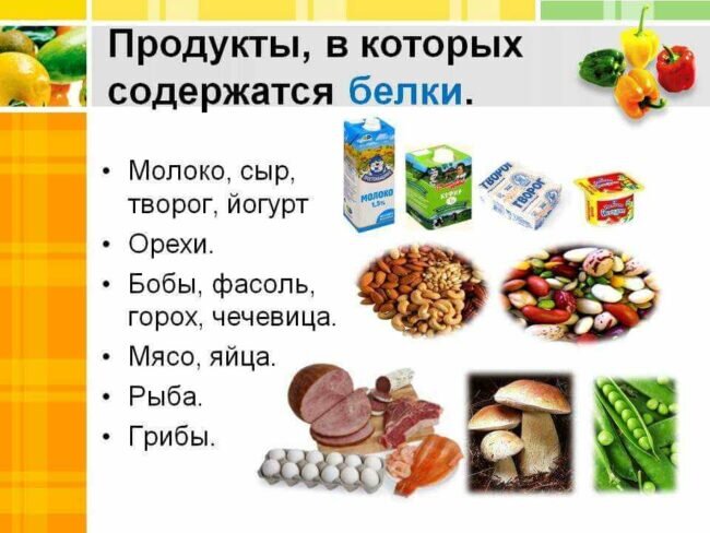 Необходимые продукты для правильного питания, которые обязательно должны  быть в рационе | Готовим с Надеждой | Дзен