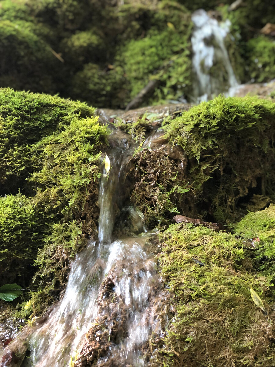 Водопад реки Пшада