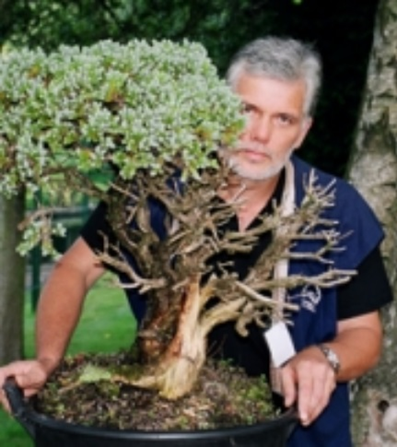 Влодзимеж Пьетрашко (Wlodzimierz Pietraszko).  
Источник: http://bonsai.pl/ksiaz2006/pokazy_pietraszko.html
