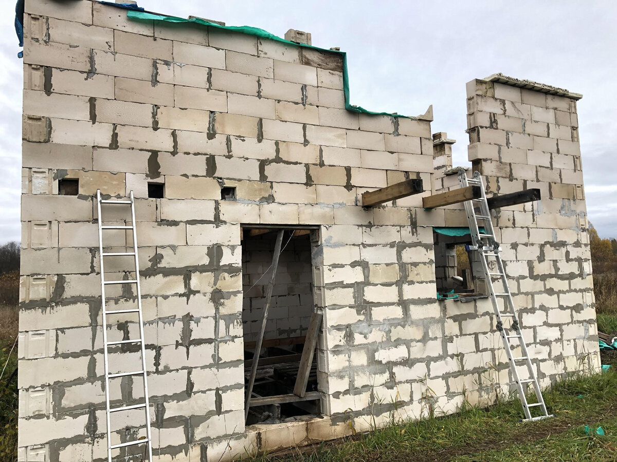 Фото: sadgrad.ru/wp-content/uploads/2020/06/word-image-4.jpeg