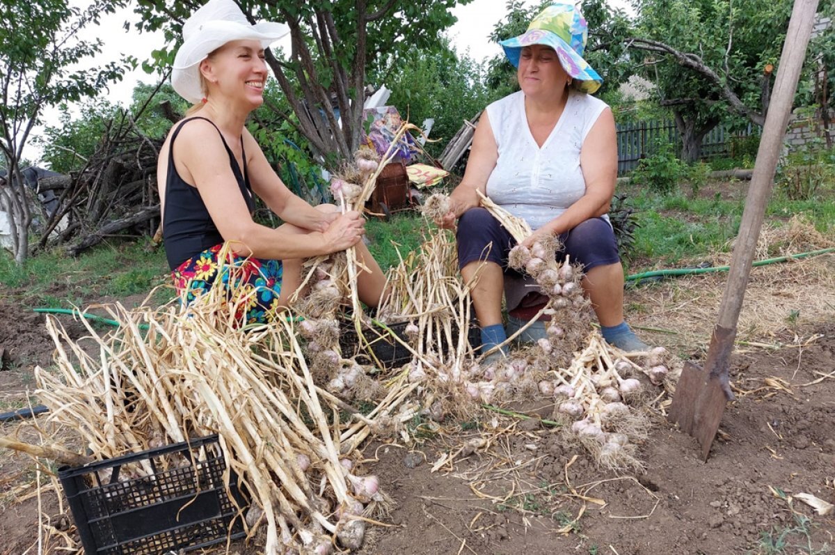    Август – самое время собирать урожай и прощаться с уходящим летом.