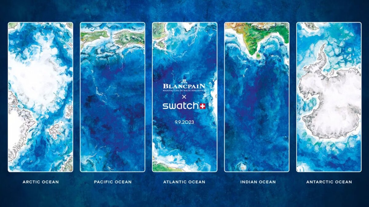 Фото из открытых источников.