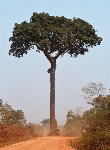 Фото: pixabay.com