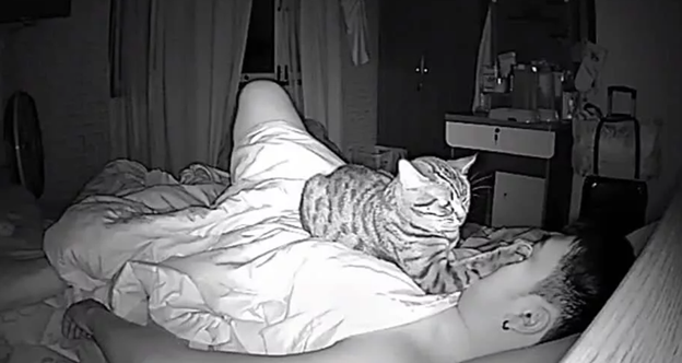 Опять ты всю комнату выстудил, Саша! Ну холодно же, вот тебе только простыть ещё осталось, — ворчала жена, закрывая настежь распахнутое окно. — Да не ворчи, милая, — отозвался мужчина на кровати.-2