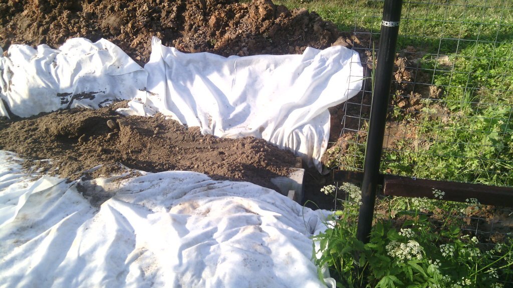 Въезд на участок. Фото автора.