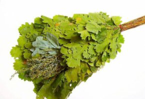 Купить веники для бани по оптовой цене в России, Вы можете в интернет-магазине "Русские-веники". Оптовая цена веников для бани от 50 рублей - от 100 штук. Подробную информацию Вы можете узнать на сайте магазина: www.русские-веники.рф