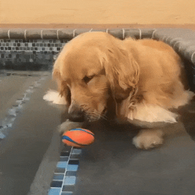 Когда пузырьки в бассейне веселее чем просто игра с мячом