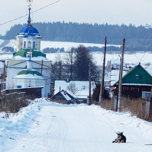 На фото  "её"  старенький пёсик