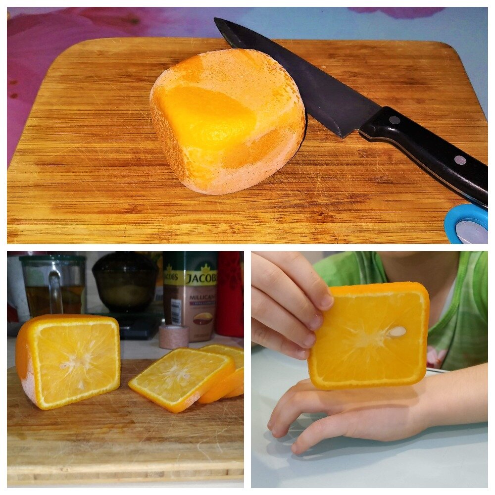 апельсин ваниглия мускат. замораживают ли апельсины. замораживают ли апельсины. замораживают ли апельсины. тангор мандарин.