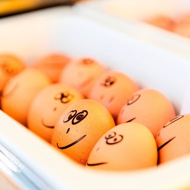 © Instagram @hotelmuntebremen
