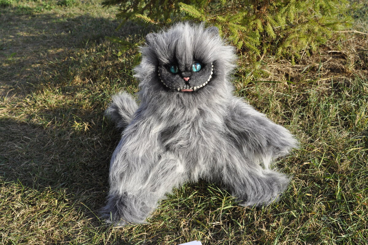 Порода чеширский кот фото настоящий