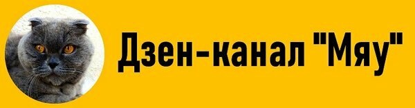 Прочёл? Подписался? Прокомментировал? Лайкнул?