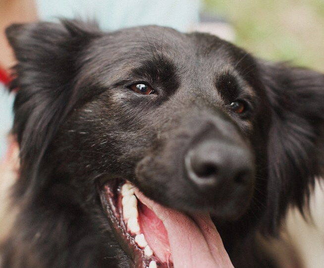 Руша_Мега_Позитив