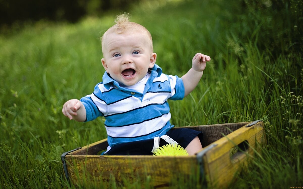 фото - открытые источники интернет  