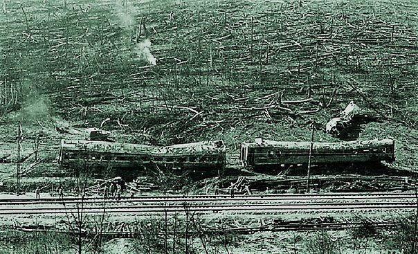 Деревья в радиусе 3 км моментально превратились в гружу пепла. 