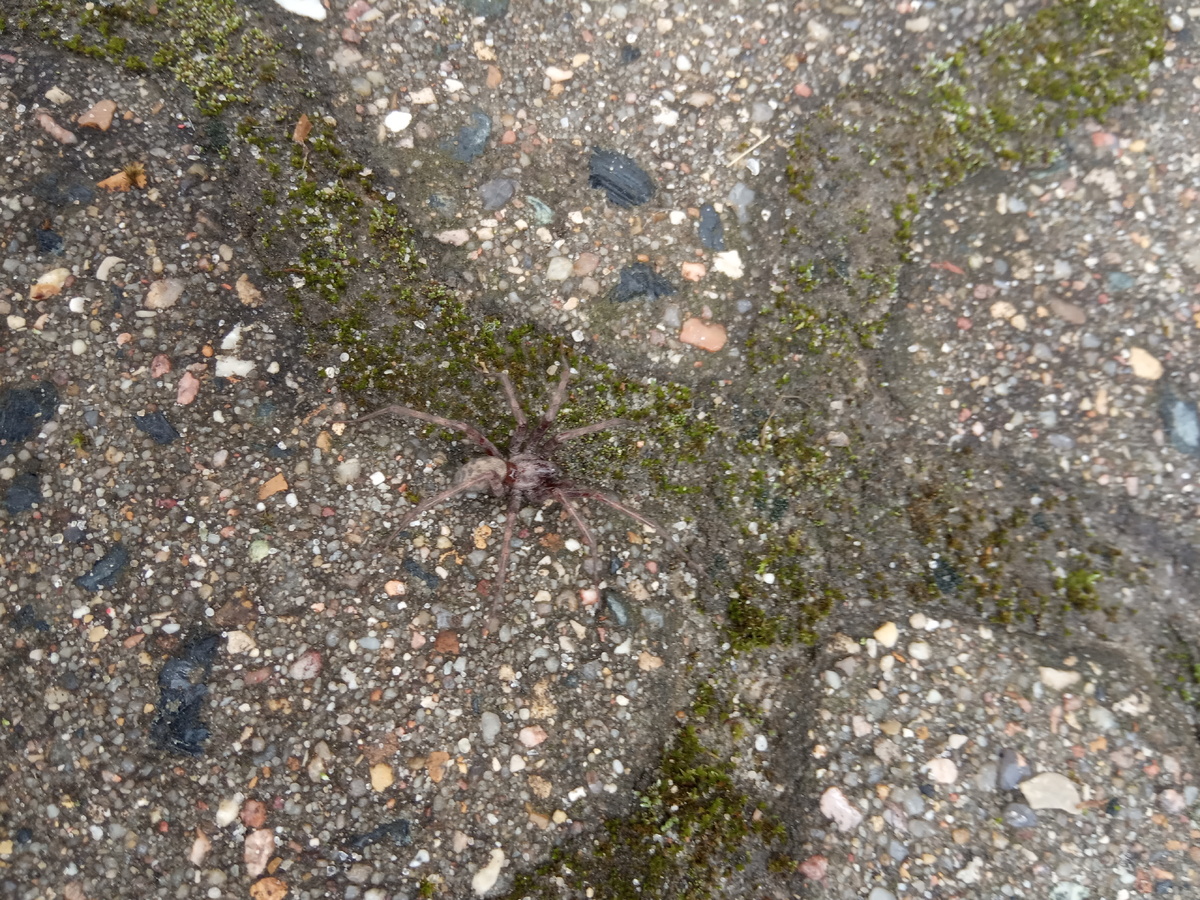 Вот такая фиговень...