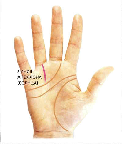 Фото: яндекс