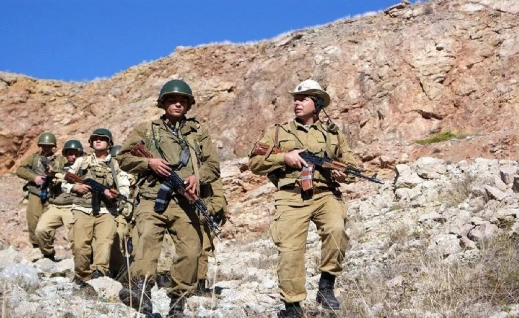 Фото из открытого источника Яндекс 