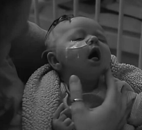 Фото с яндекс-картинок