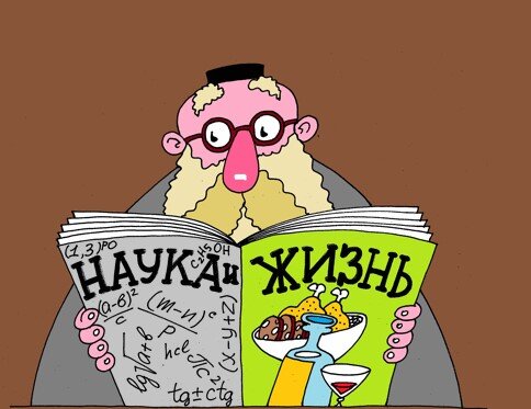 Карикатура взята из открытого источника в Интернете.