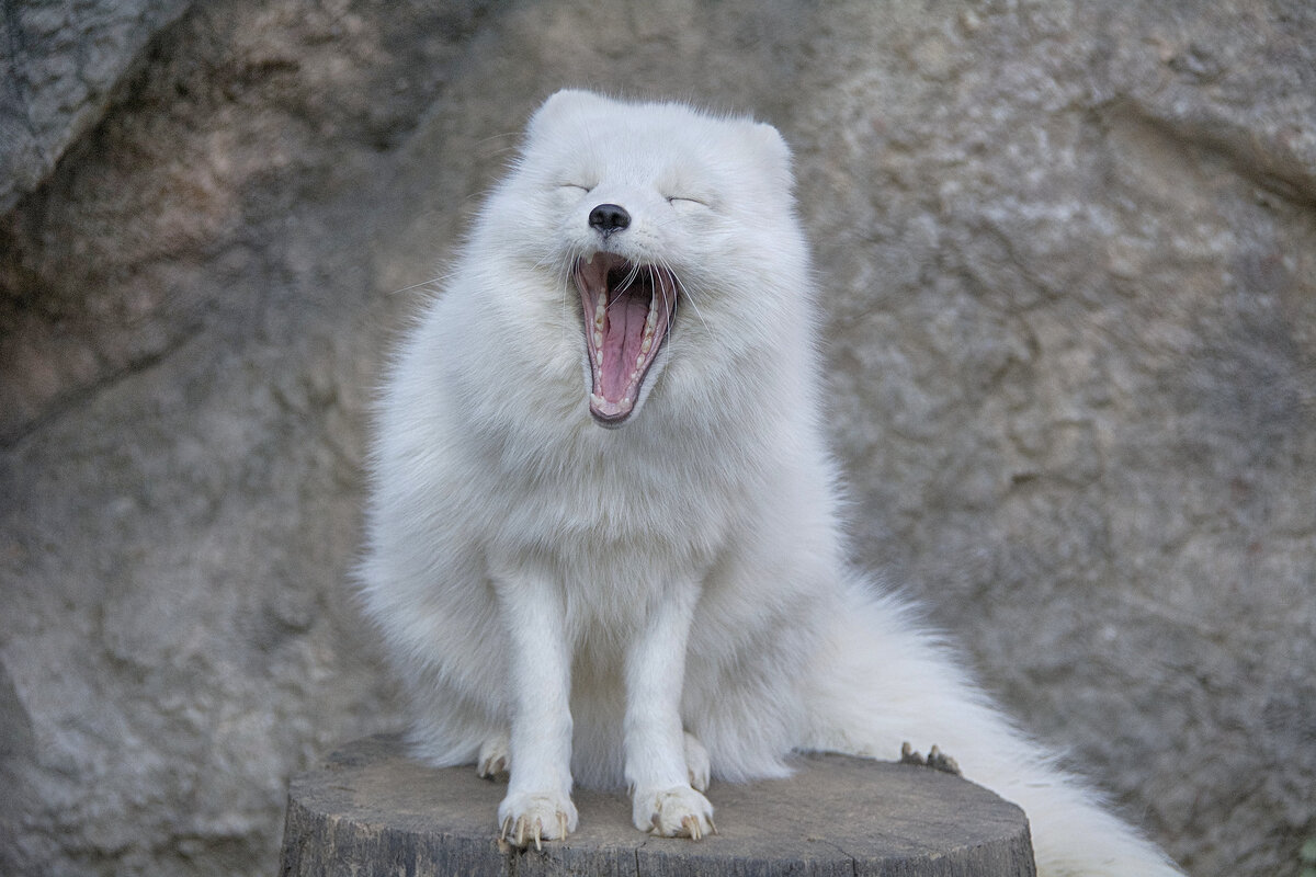 Доброе утро!