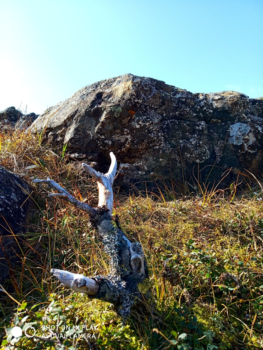 Богатство и красота природы