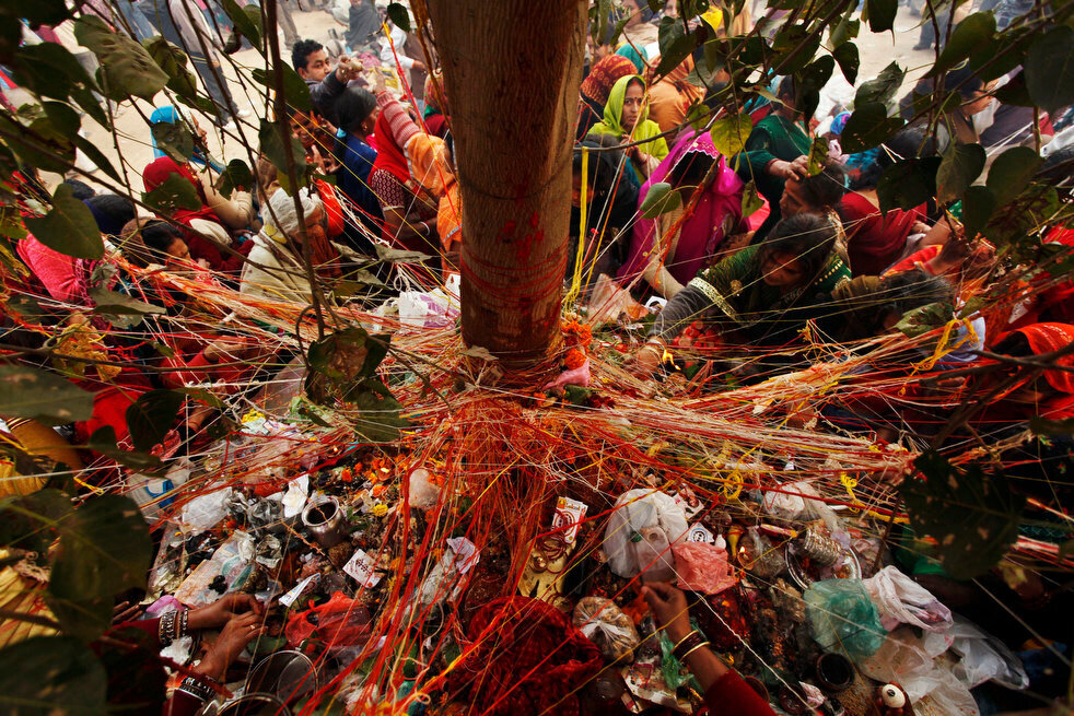 яндекс.картинки