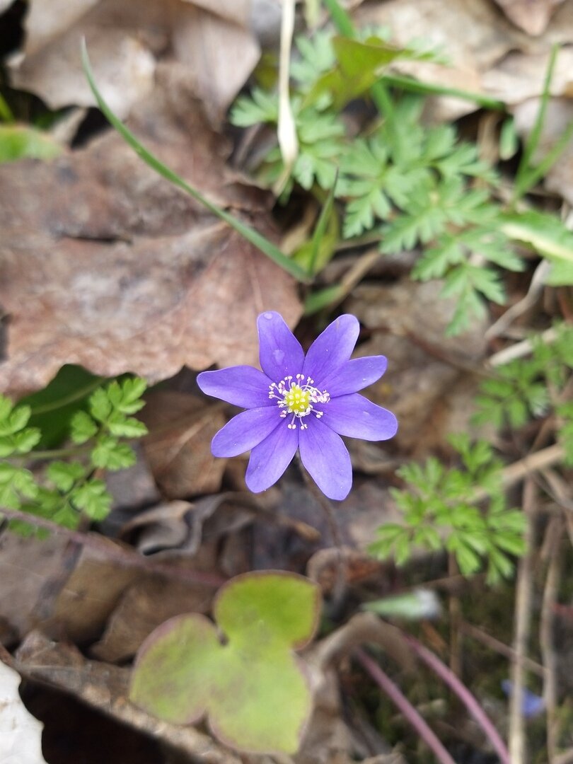                                                                                                  Фото автора статьи