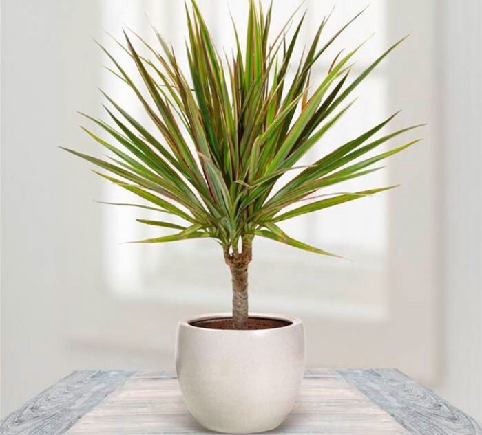 Источник: яндекс картинки