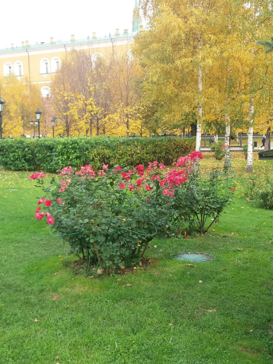 21.10.2019. Александровский сад. Москва.