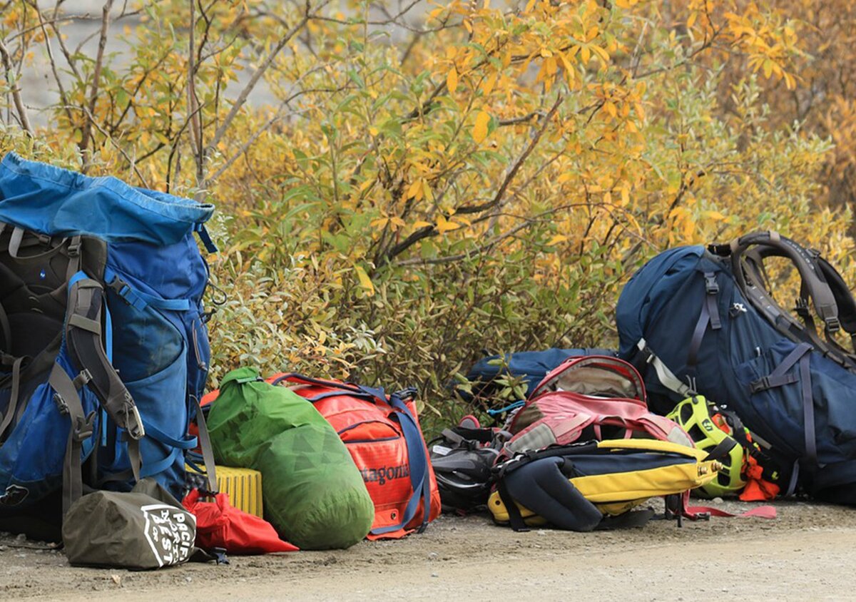 Нужные вещи для похода. Рюкзак Outdoor. Поход картинки. Осенние листья поход рюкзак.