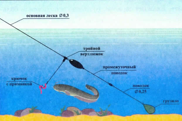 Шнуры и поводки для ловли сома