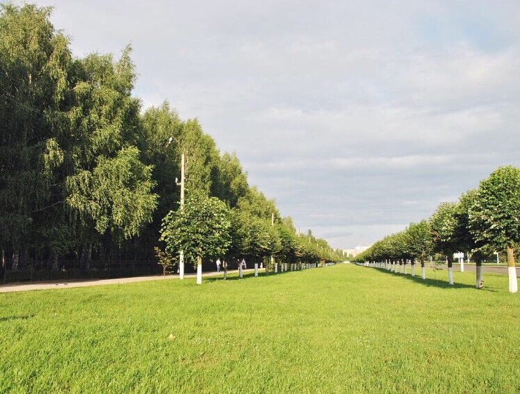 Ухоженная площадь Ельниковского парка