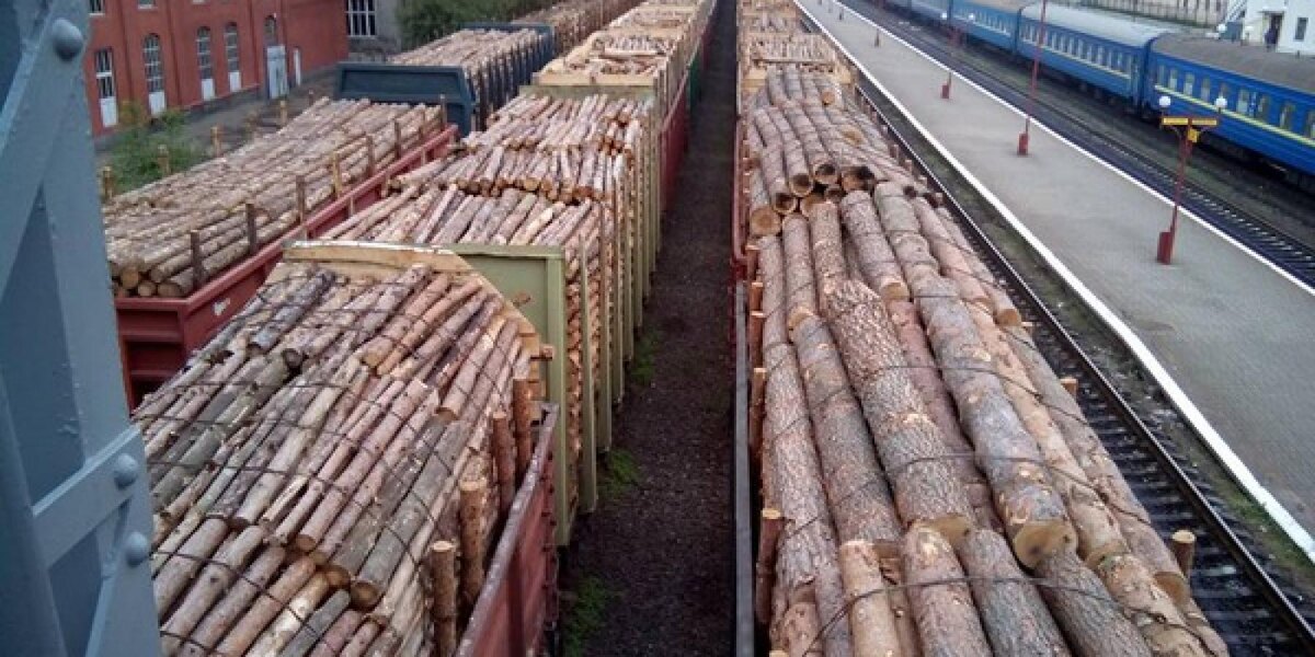 Лес вывозят за рубеж. Фото из открытых источников.