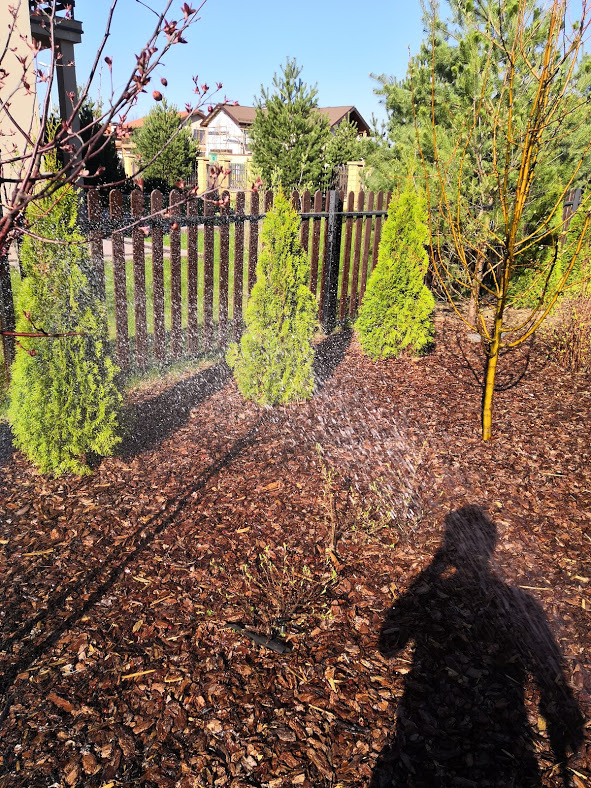 Наш участок