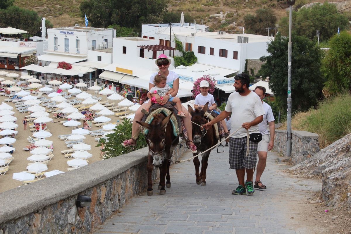 Самые востребованные профессии в сфере туризма, строительства, сельского хозяйства, а также в сегменте услуг