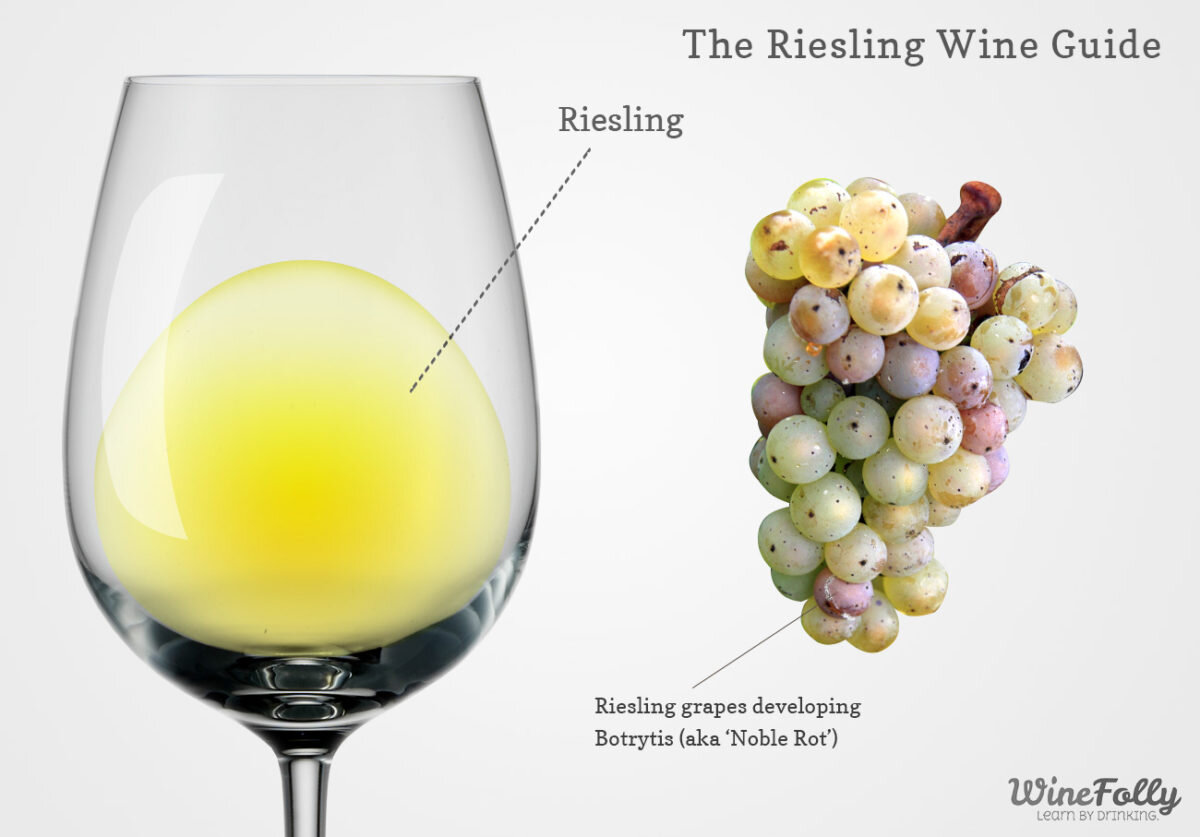 Источник: winefolly.com