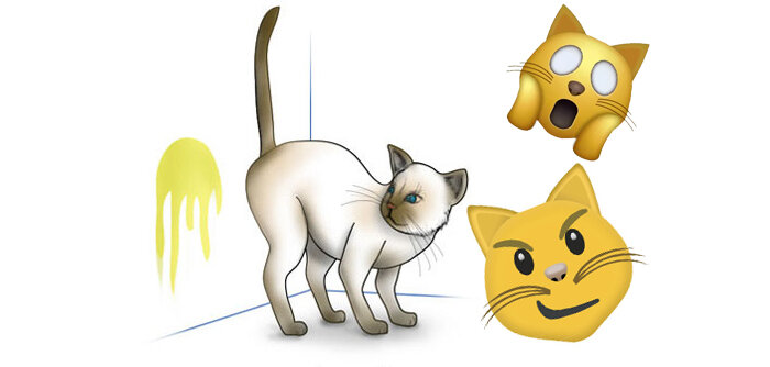 Трехмесячный котенок пометил стену!