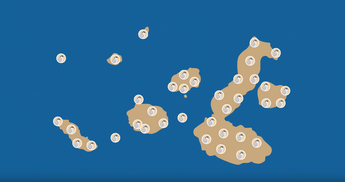 Эволюция источников света. Эволюция человечества эстетика. Не работает evolution. Эволюция человека рисунок. Как работает эволюция.