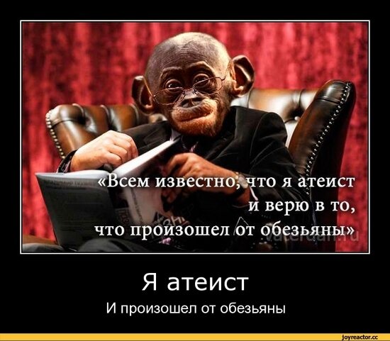 Верующие почему-то очень боятся того факта, что люди произошли от обезьян...