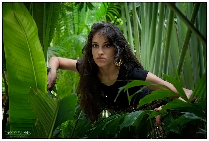 яндекс картинки